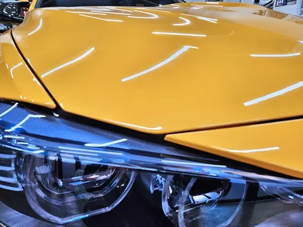 [랩샵][수원랩핑] BMW F82 M4 라이트PPF+포인트랩핑 / 수원시 영통구 이의동
