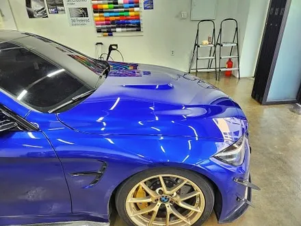BMW F82 M4 본넷PPF 제시공 / 수원시 영통구 이의동