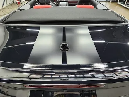 포드 머스탱 5.0 GT 컨버터블 바이퍼라인 포인트 고광택 랩핑 포인트데칼 고퀄리티 1인시공 / 수원시 영통구 이의동