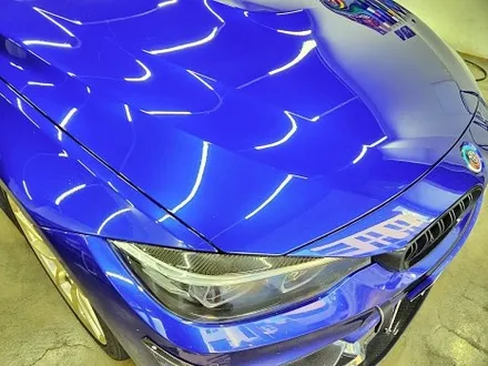 BMW F82 M4 본넷PPF 제시공 / 수원시 영통구 이의동