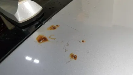 [랩샵]수원랩핑 광교랩핑 YF쏘나타루프스킨 쏘나타루프스킨 포인트랩핑 부분랩핑 PPF 유리막코팅 / 수원시 영통구 이의동