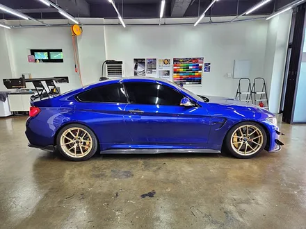 BMW F82 M4 본넷PPF 제시공 / 수원시 영통구 이의동
