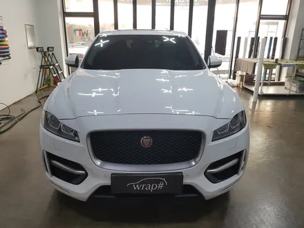 [랩샵]수원랩핑 수원스팀세차 수원유리막코팅 수원세차 광교스팀세차 광교세차 수원카스킨 수원루프스킨 수원PPF 수원라이트필름 제규어 F페이스 스포츠페키지PPF / 수원시 영통구 이의동