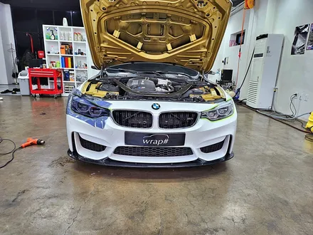 [랩샵][수원PPF] BMW M4 F82 라이트PPF 라이트필름 클리프디자인PPF / 수원시 영통구 이의동
