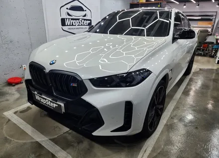 랩스터 BMW X6 M60i 랩핑+PPF / 고양 신원동