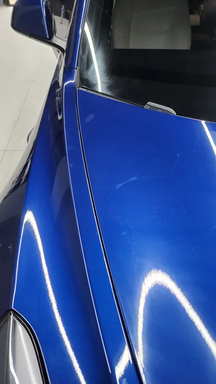 테슬라 모델3 부분 PPF / 테슬라 / 모델3 / 경기도 고양시