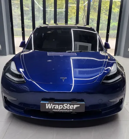 테슬라 모델3 부분 PPF / 테슬라 / 모델3 / 경기도 고양시