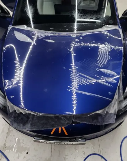 테슬라 모델3 부분 PPF / 테슬라 / 모델3 / 경기도 고양시