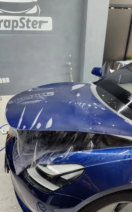 테슬라 모델3 부분 PPF / 테슬라 / 모델3 / 경기도 고양시