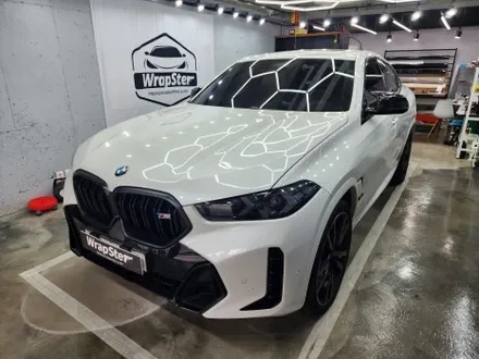 랩스터 BMW X6 M60i 랩핑+PPF / 고양 신원동