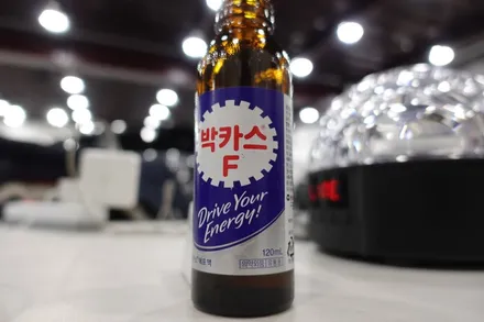 [랩스타일 코리아] 간단하게 바꾸자! 디스커버리스포츠 루프스킨과 에코 블랙팩 만들기 / 김포시 마산동