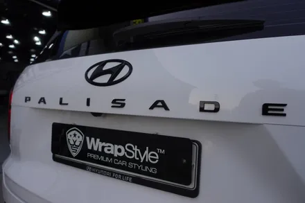 [랩스타일 코리아] WrapStyle Korea 만의 새로운 시그니처! 나만의 팰리세이드 만들기 프로젝트! 팰리세이드 블랙팩 / 김포시 마산동