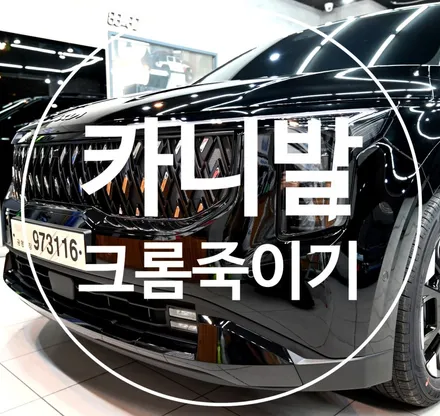 아빠 차 카니발 랩핑 하는 이유!? / 수원시 영통구 원천동