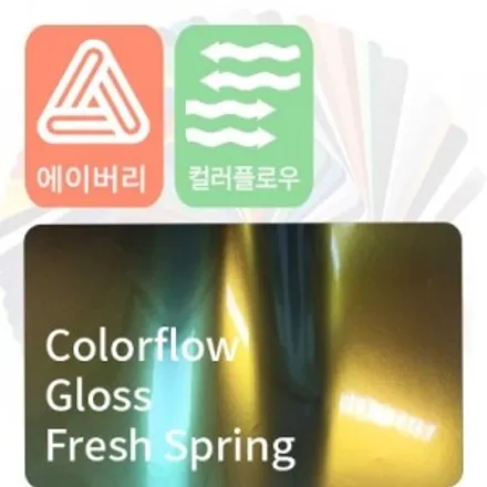 아반떼 카멜레온 전체 랩핑 로어링썬더! / 수원시 영통구 원천동