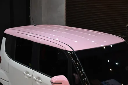 고광택 루프스킨 제거 및 재시공 리뷰 / 수원시 영통구 원천동