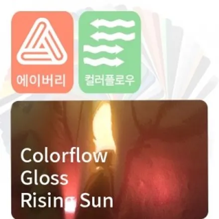 아반떼 카멜레온 전체 랩핑 로어링썬더! / 수원시 영통구 원천동