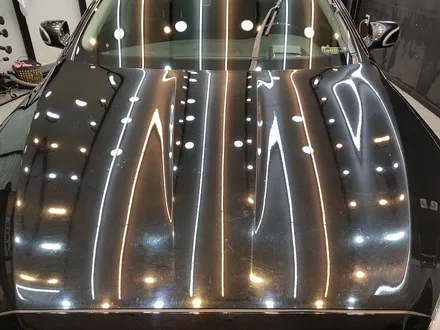 거미줄 한가득 스월마크 넘치는 도장면을 새차처럼~! 진주 광택 폴리싱도 역시 오토리버스 / 진주, 창원, 순천