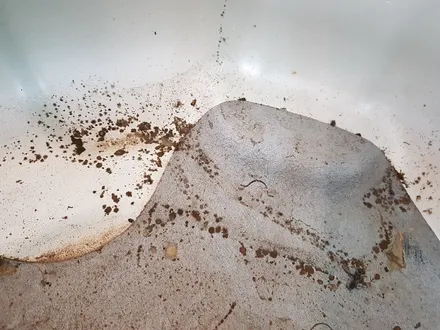 살벌하게 오염된 중고차의 실내를 한번에 신차 느낌으로 바꾸는 진짜 실내크리닝! 경남 진주 오토리버스에서 제대로 합니다! / 진주, 창원, 순천