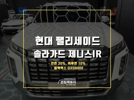 현대 펠리세이드 솔라가드 프리미엄 제니스 IR 농도 추천 / 안양 박달동