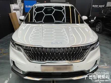 기아 카니발 버텍스 농도 추천 / 안양 박달동
