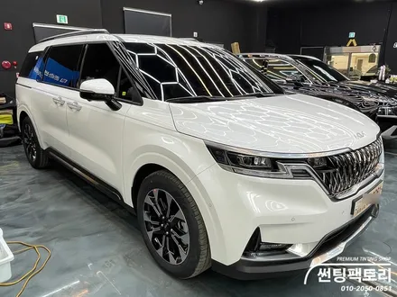 기아 카니발 버텍스 농도 추천 / 안양 박달동