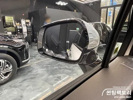 기아 카니발 버텍스 농도 추천 / 안양 박달동
