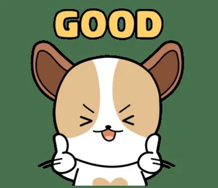 【2020 K5】존슨 R 썬팅후기 / 아이나비QXD3000 장착! / PPF 후기 // 안양썬팅전문점 /안양틴팅샵 / 썬팅팩토리 :) / 안양 박달동