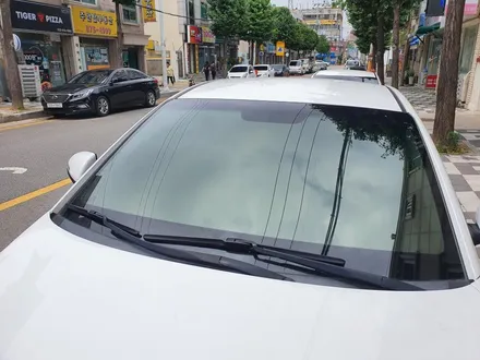아반떼AD 쿠폰썬팅 제거후 넥스가드 프리미엄 보스 썬팅 재시공