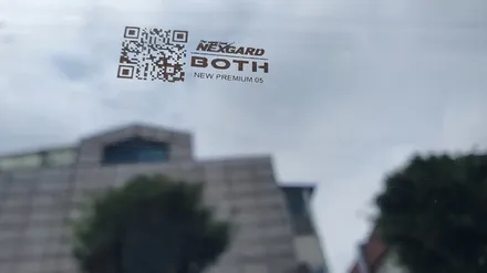 아반떼AD 쿠폰썬팅 제거후 넥스가드 프리미엄 보스 썬팅 재시공