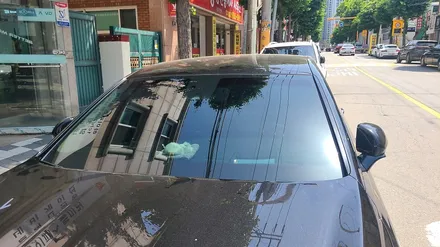 피부노화 방지를 위한 제네시스 g90 블락포디 디토 썬팅