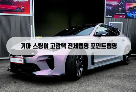 [양주랩핑] 기아 스팅어 고광택 전체 랩핑 / 양주 백석읍