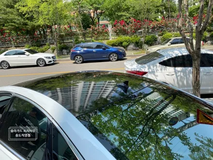 인천 송도 랩핑 아우디 A6 3M 루프스킨시공으로 부족한 곳을 세련되게 변화주기!! (솔라가드 프리미엄 송도직영점) / 인천 연수구 송도동