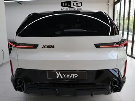 BMW XM 신차 검수, 전체 PPF, THE LX 썬팅 후기 / 인천 연수구 송도동