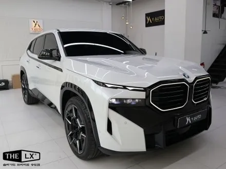 BMW XM 신차 검수, 전체 PPF, THE LX 썬팅 후기 / 인천 연수구 송도동