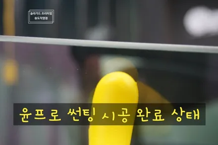 볼보 V60 인천 신차패키지 솔라가드 프리미엄 LX 조합으로 완성!! (솔라가드 프리미엄 송도직영점) / 인천 연수구 송도동