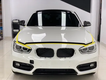 도장면 완전 보호_ bmw 118d 전체 ppf, 루프스킨 / 인천 연수구 송도동