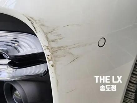 포르쉐 타이칸GTS 도장면보호에는 PPF 시공이 필수 / 인천 연수구 송도동