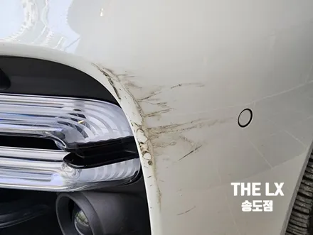 람보르기니 우루스 주행감각을 위해 PPF 시공 왜안해요? / 인천 연수구 송도동