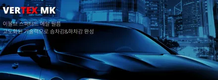 부천 썬팅 팰리세이드 크롬죽이기까지 노하우란? / 인천 남동 구월동
