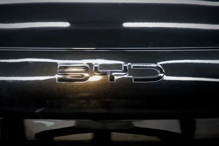 BYD 씨라이언 블랙 엠블럼 랩핑 후기 / 인천 남동 구월동