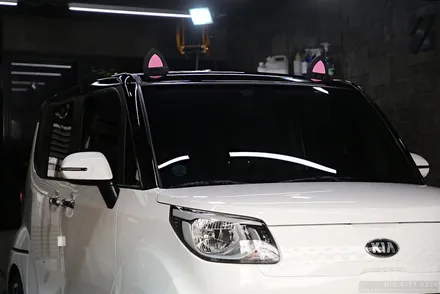 인천 레이 투톤 랩핑 고양이 귀 루프스킨 / 인천 남동 구월동