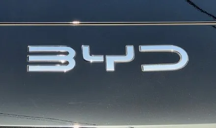 BYD 씨라이언 블랙 엠블럼 랩핑 후기 / 인천 남동 구월동