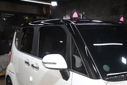 인천 레이 투톤 랩핑 고양이 귀 루프스킨 / 인천 남동 구월동