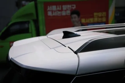 팰리세이드 LX3  루프스킨, 블랙 PPF 랩핑!! / 인천 남동 구월동