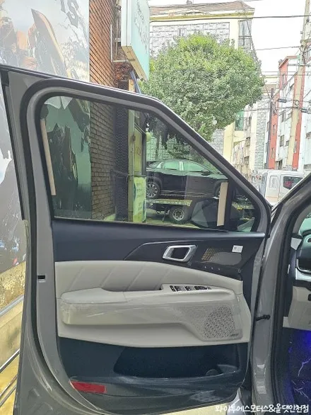 인천카니발 신차패키지 루마버텍스900썬팅,신형대리석바닥,튜온순정사이드스텝 / 남동구 구월동