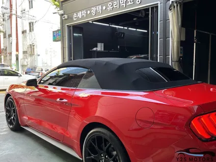 머스탱 전면 센서 장착 가능합니다! / 남동구 구월동