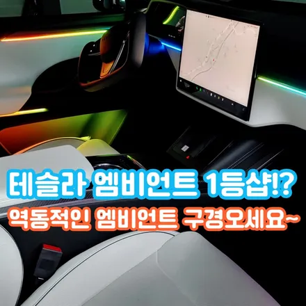 테슬라 모델X 무빙 엠비언트 글루오모션을 시공했더니 이런 분위기가... / 포천, 양주, 의정부, 동두천