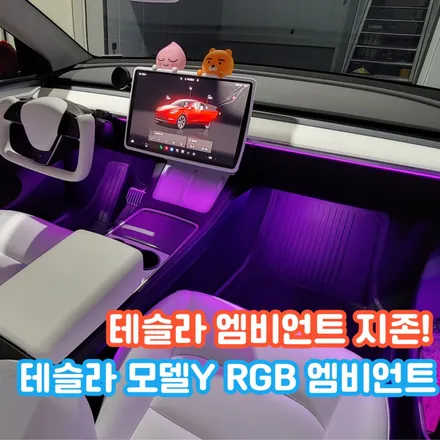 테슬라 모델Y 엠비언트로 이렇게 분위기는 달라집니다. 확실한 퀄리티와 연출력~ / 포천, 양주, 의정부, 동두천