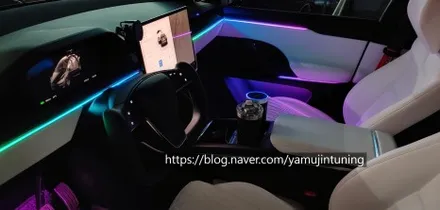 신형 테슬라 모델X 플레드 무빙 엠비언트 글로우모션 전국최초 특허등록 / 포천, 양주, 의정부, 동두천