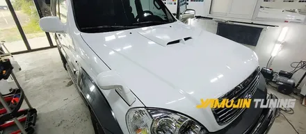 테라칸 전체랩핑 LB 샴페인 골드 LB 메탈 이즈 딥 애쉬 투톤랩핑, 랩핑의 무한한 매력, 고광택 랩핑 / 포천, 양주, 의정부, 동두천